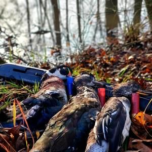 Meet your Posher, Draydon